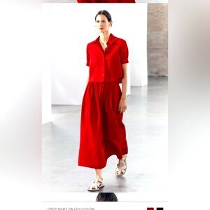 Zara Skirt and Bottom